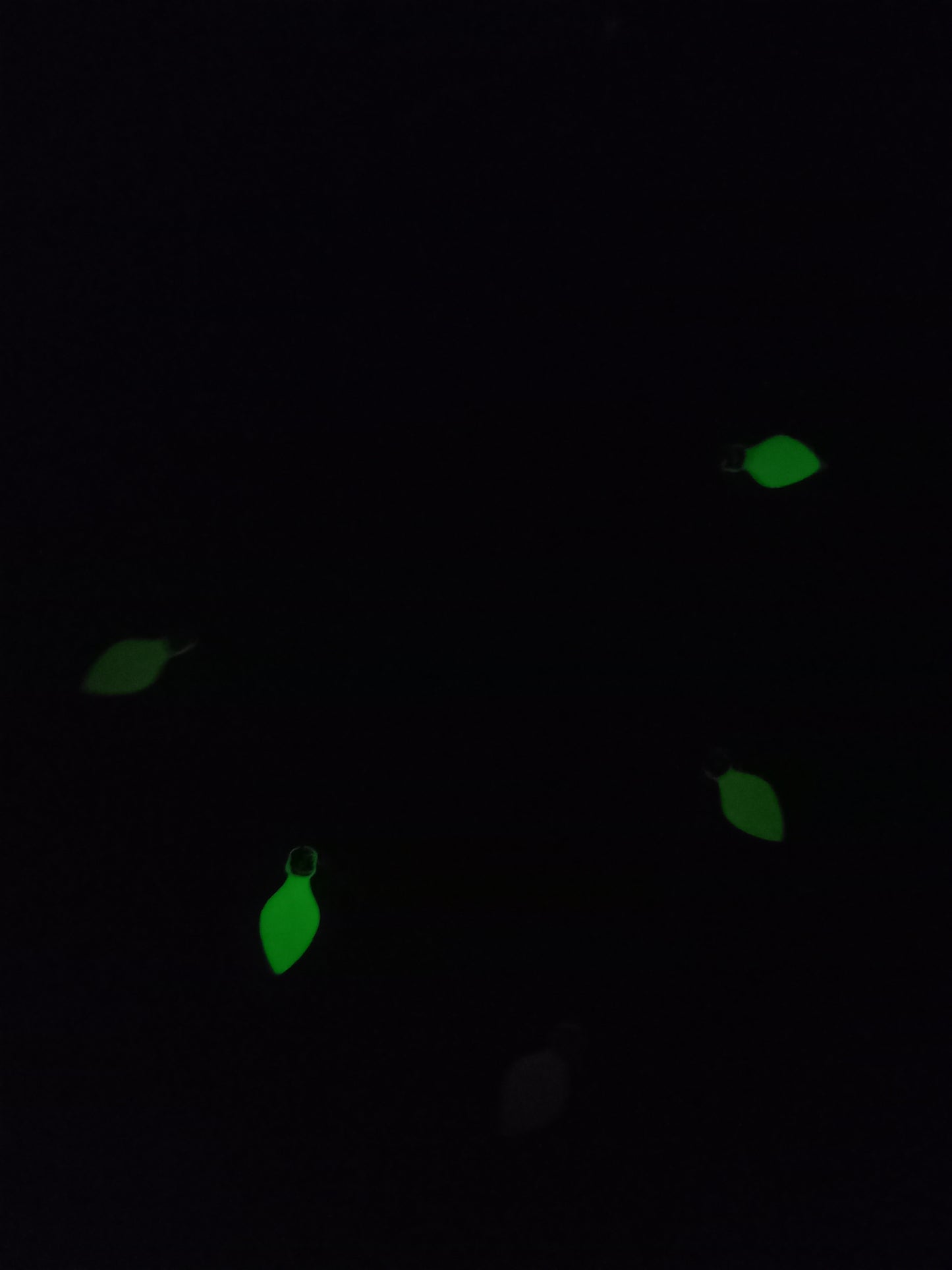 Fairy Light Necklace